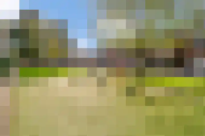 Mariniersstraat 13 's-Hertogenbosch thumbnail 37