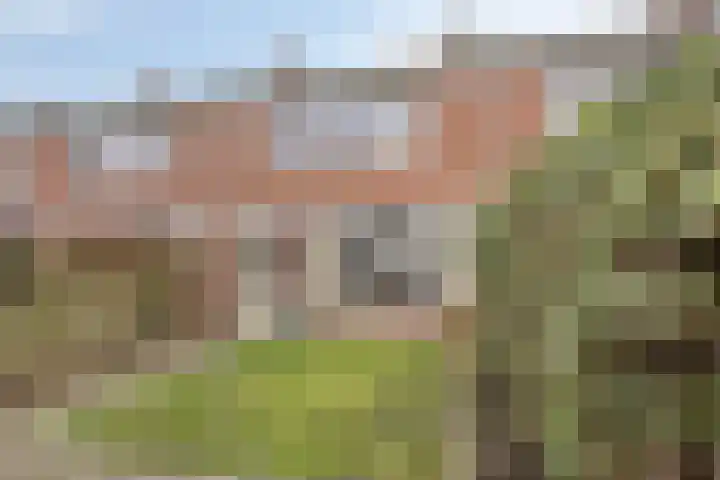 Mariniersstraat 23 's-Hertogenbosch thumbnail 22