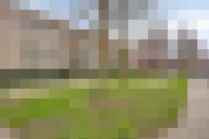Mariniersstraat 23 's-Hertogenbosch thumbnail 25