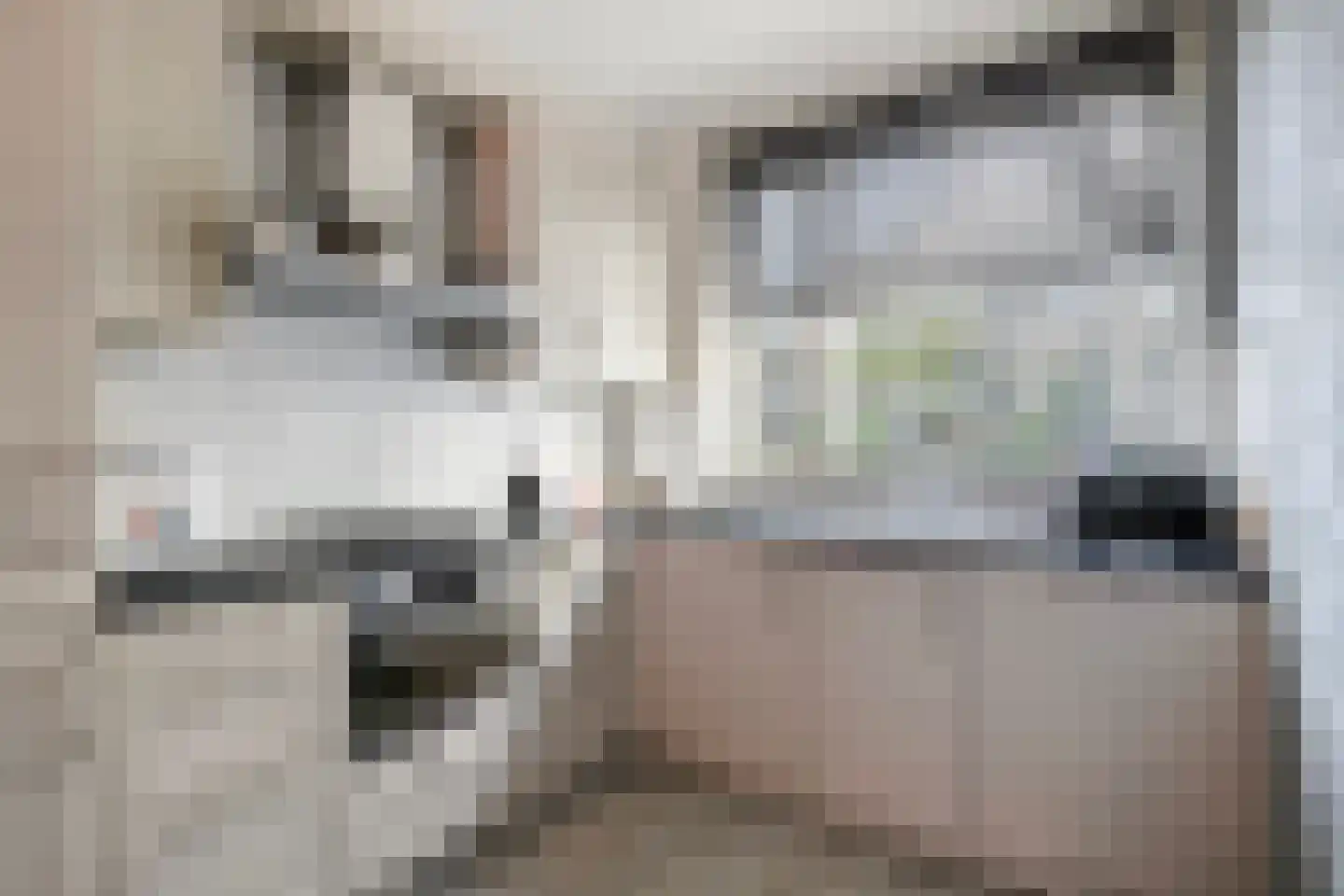 Mariniersstraat 4 's-Hertogenbosch thumbnail 9