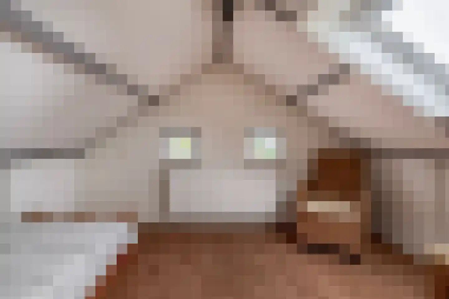 Mariniersweg 10 Oude-Tonge thumbnail 30