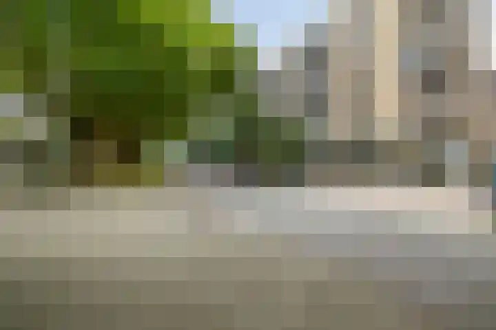 Mariniersweg 101 Rotterdam thumbnail 26