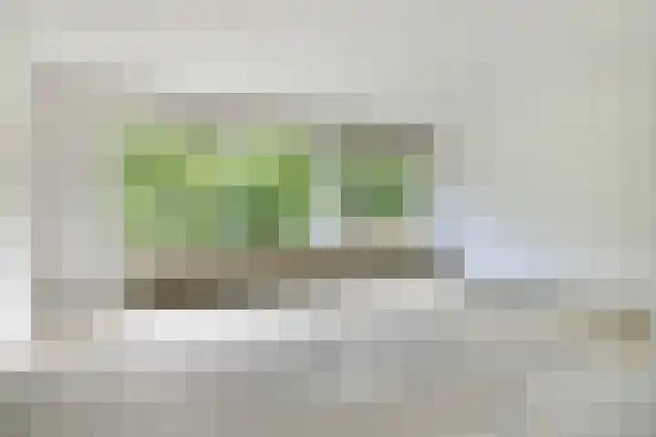 Mariniersweg 101 Rotterdam thumbnail 6