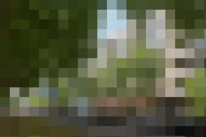 Mariniersweg 105 Rotterdam thumbnail 32