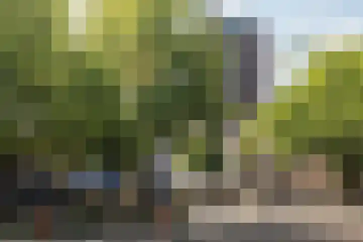 Mariniersweg 105 Rotterdam thumbnail 34