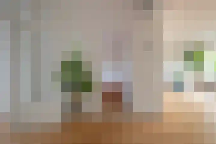 Mariniersweg 105 Rotterdam thumbnail 7