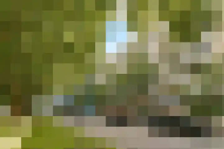 Mariniersweg 127 Rotterdam thumbnail 10