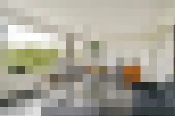 Mariniersweg 127 Rotterdam thumbnail 11