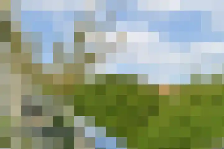 Mariniersweg 127 Rotterdam thumbnail 16