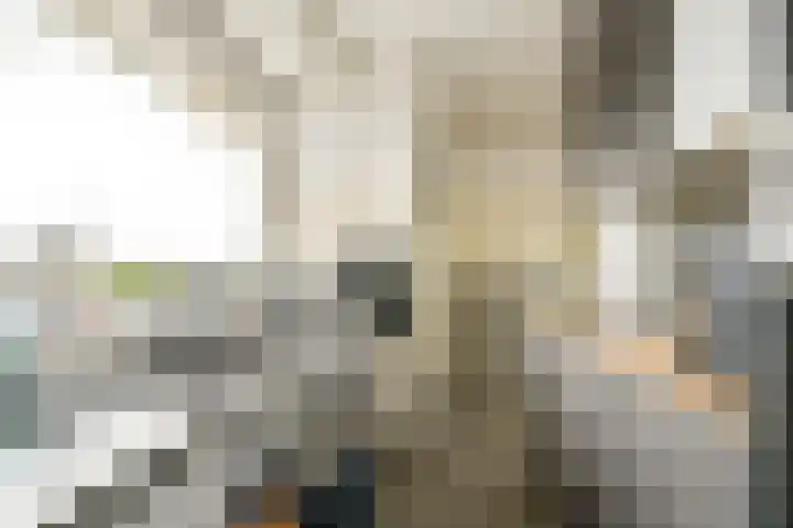 Mariniersweg 127 Rotterdam thumbnail 19