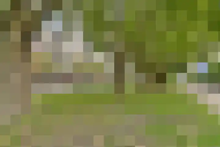 Mariniersweg 127 Rotterdam thumbnail 27