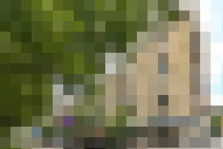 Mariniersweg 127 Rotterdam thumbnail 5