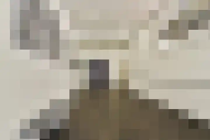Mariniersweg 127 Rotterdam thumbnail 7