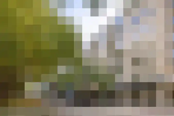 Mariniersweg 129 Rotterdam thumbnail 34