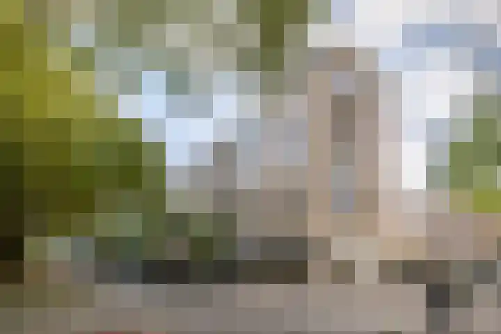 Mariniersweg 129 Rotterdam thumbnail 4