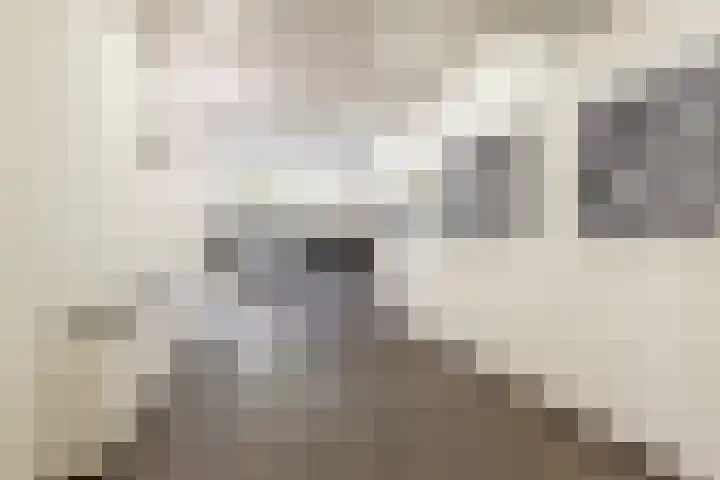 Mariniersweg 129 Rotterdam thumbnail 6