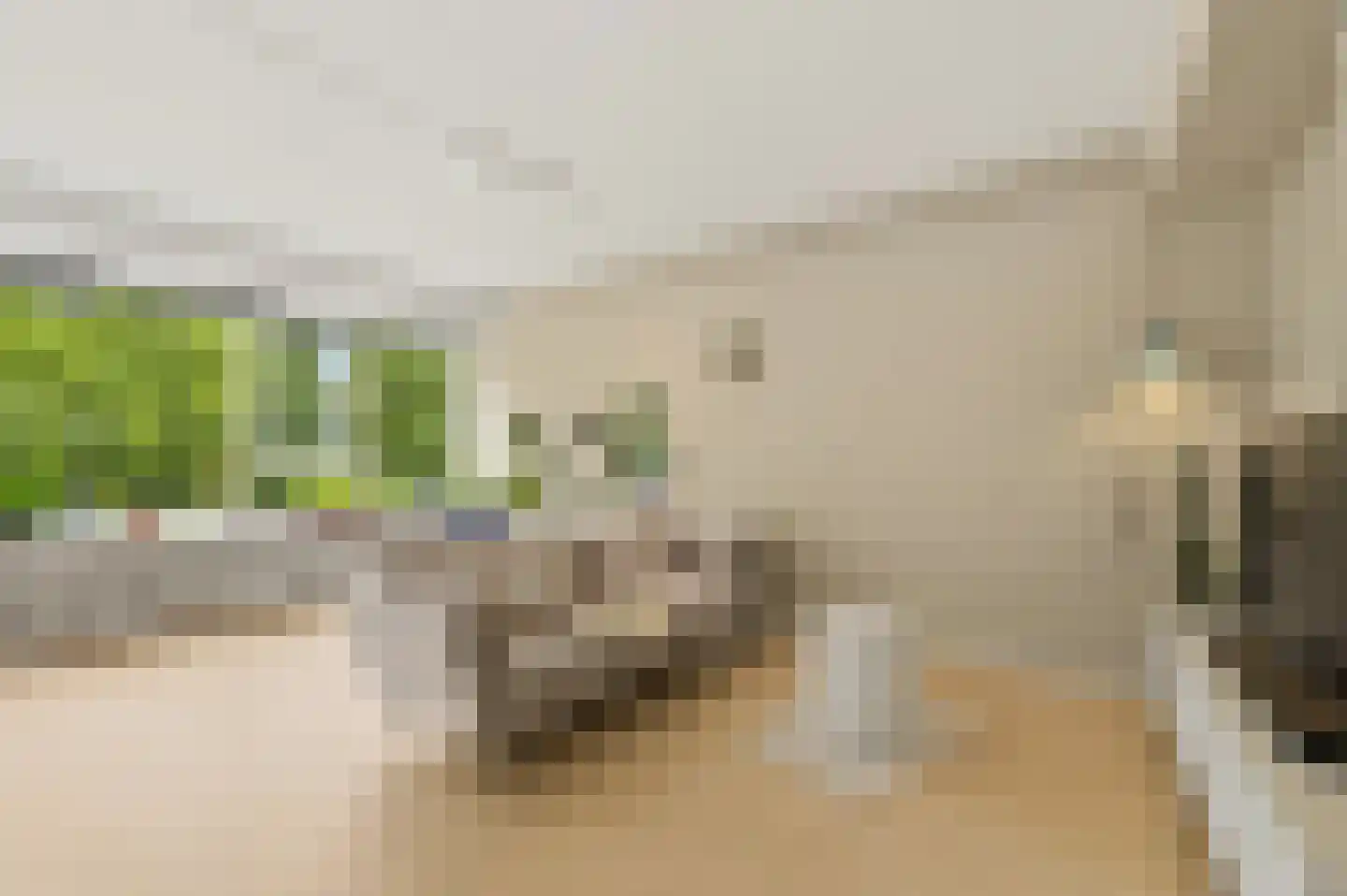 Mariniersweg 157 Rotterdam thumbnail 11