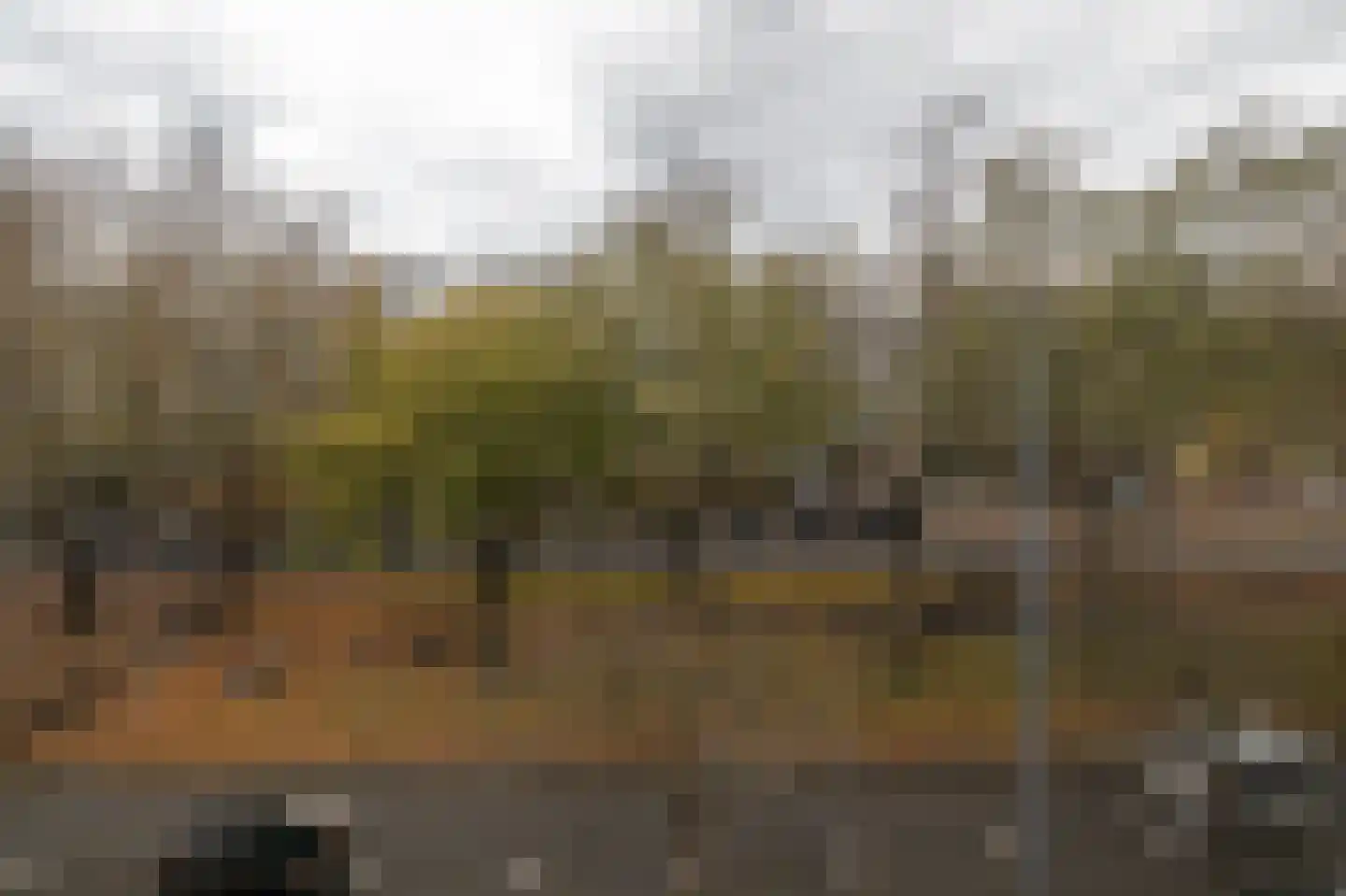 Mariniersweg 20 B Rotterdam thumbnail 21