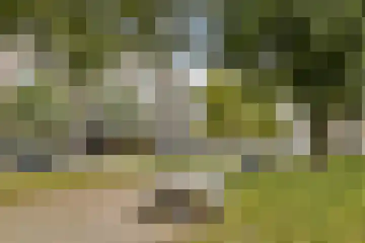 Mariniersweg 20 C Rotterdam thumbnail 26