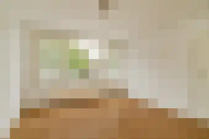 Mariniersweg 20 C Rotterdam thumbnail 4