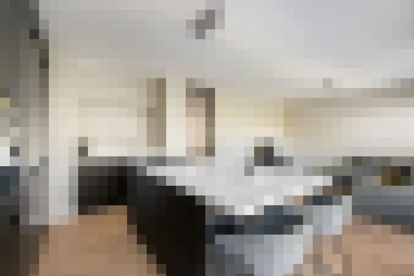 Mariniersweg 20 D Rotterdam thumbnail 12