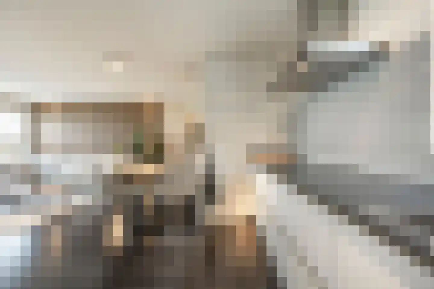 Mariniersweg 214 Rotterdam thumbnail 13