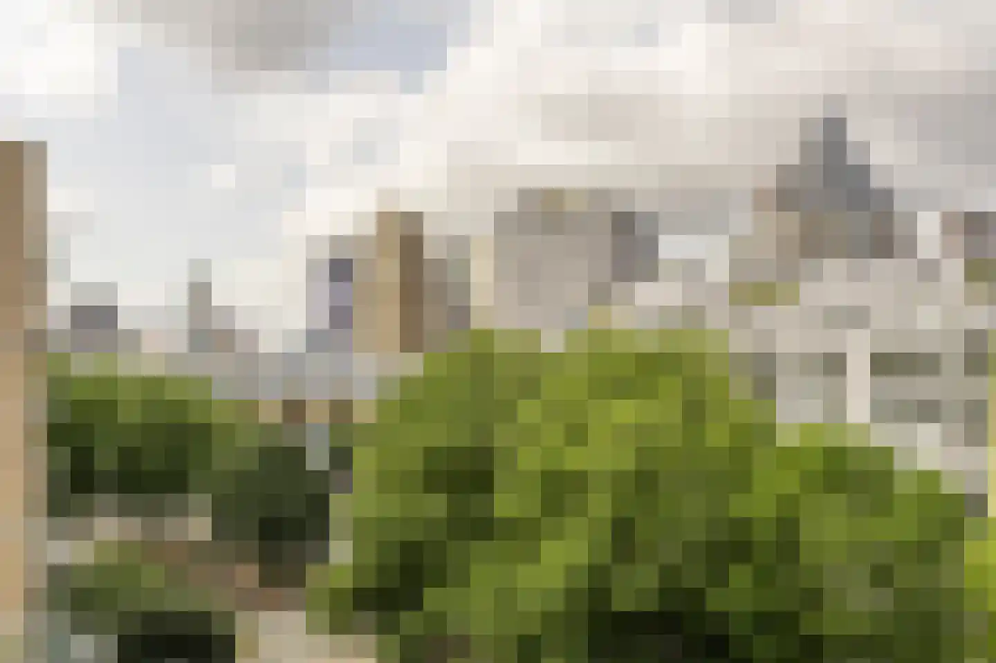 Mariniersweg 214 Rotterdam thumbnail 29