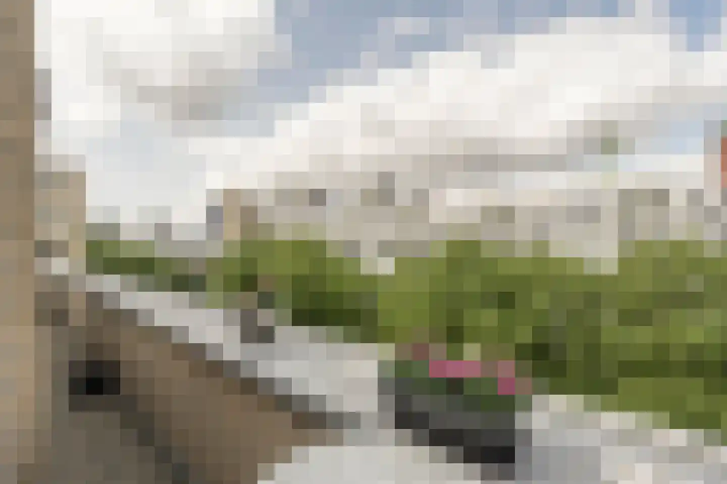 Mariniersweg 214 Rotterdam thumbnail 4