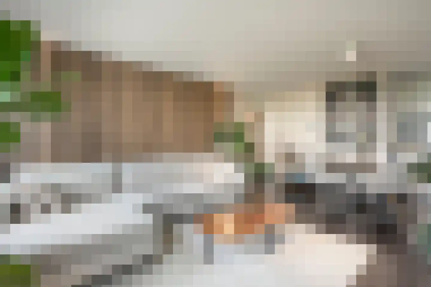 Mariniersweg 214 Rotterdam thumbnail 5