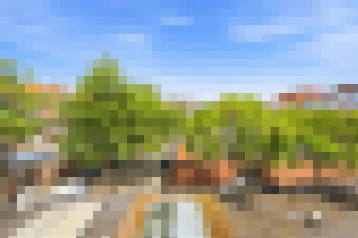 Mariniersweg 22 C Rotterdam thumbnail 21