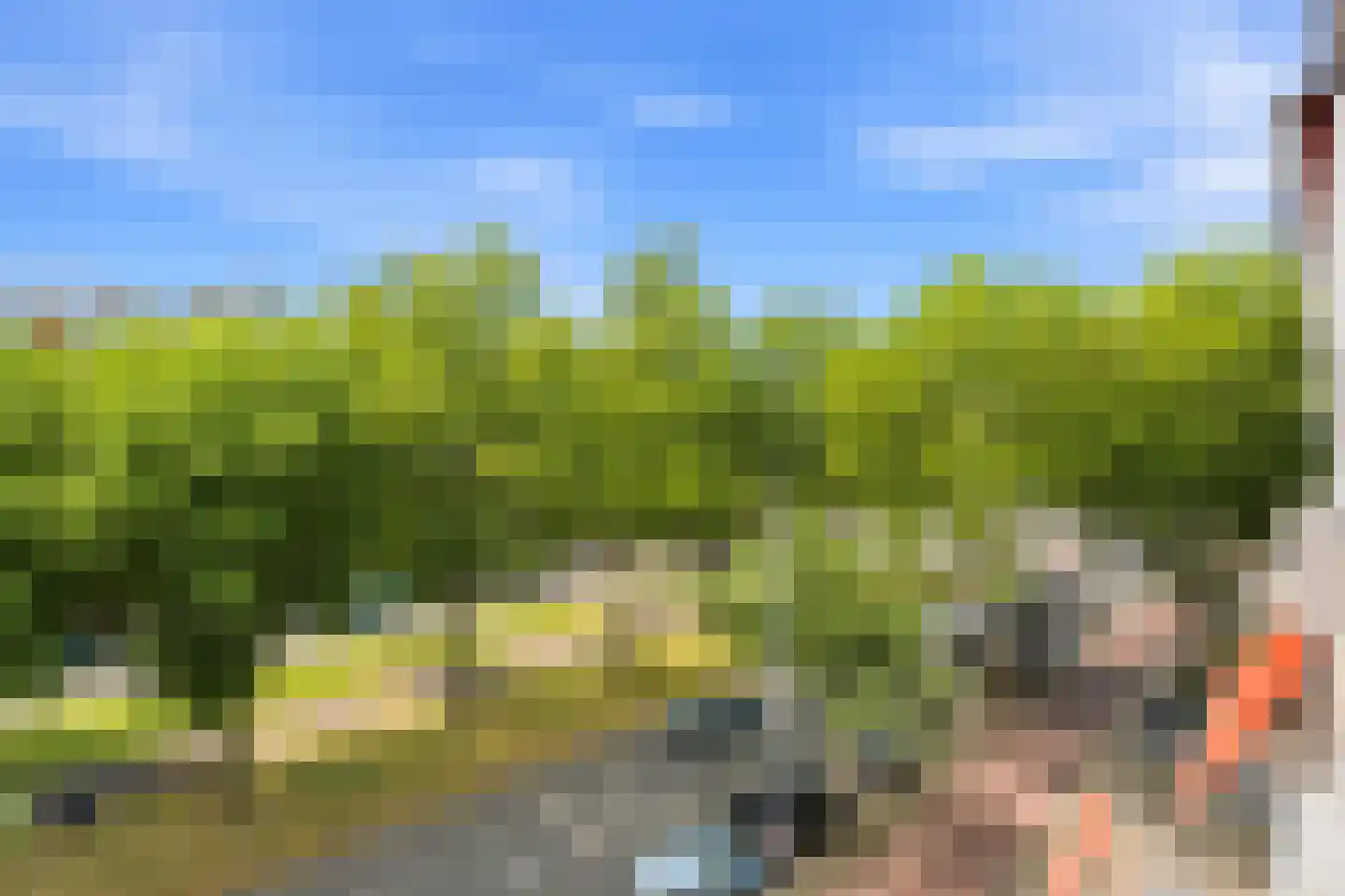 Mariniersweg 22 C Rotterdam thumbnail 24