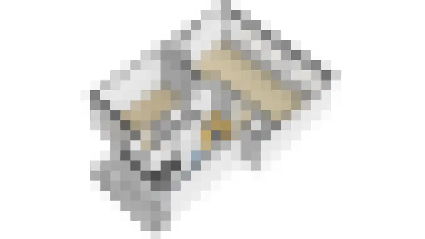 Mariniersweg 22 C Rotterdam thumbnail 30