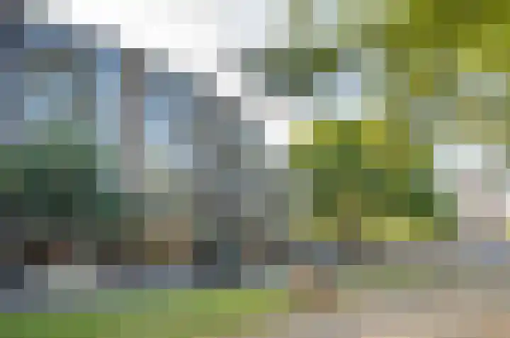 Mariniersweg 29 B Rotterdam thumbnail 31
