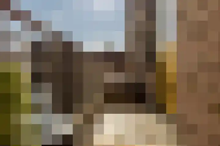 Mariniersweg 32 D Rotterdam thumbnail 21