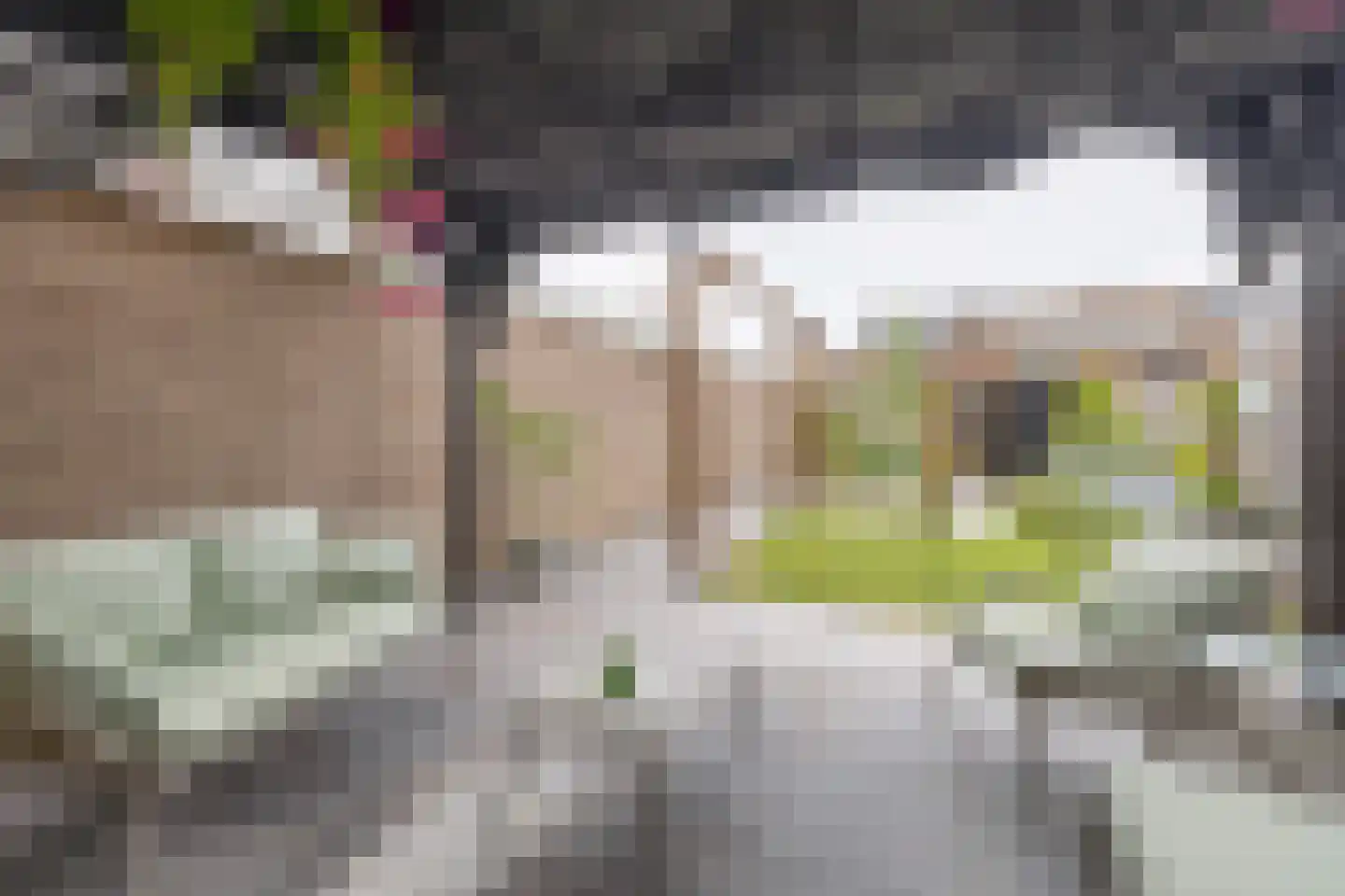 Mariniersweg 32 Oude-Tonge thumbnail 32
