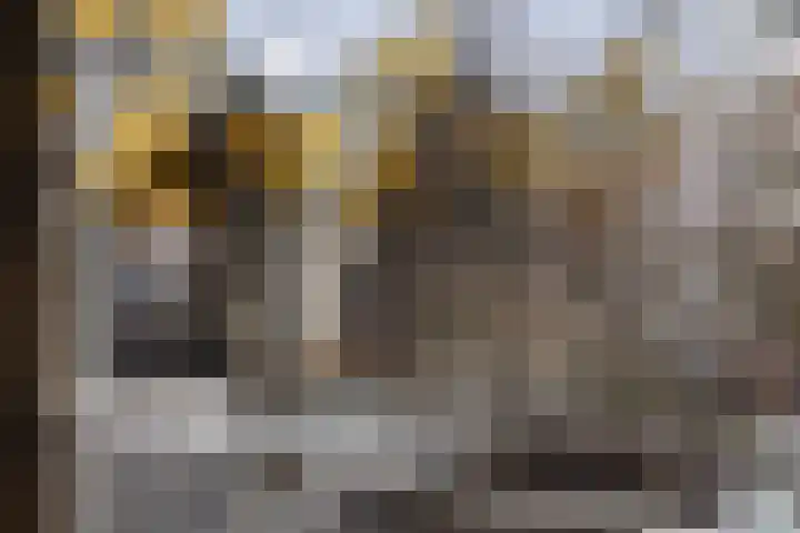 Mariniersweg 331 Rotterdam thumbnail 41
