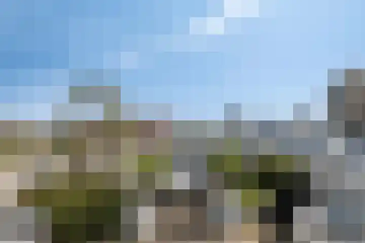 Mariniersweg 331 Rotterdam thumbnail 44