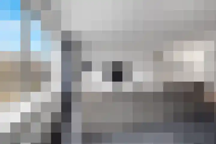 Mariniersweg 331 Rotterdam thumbnail 8