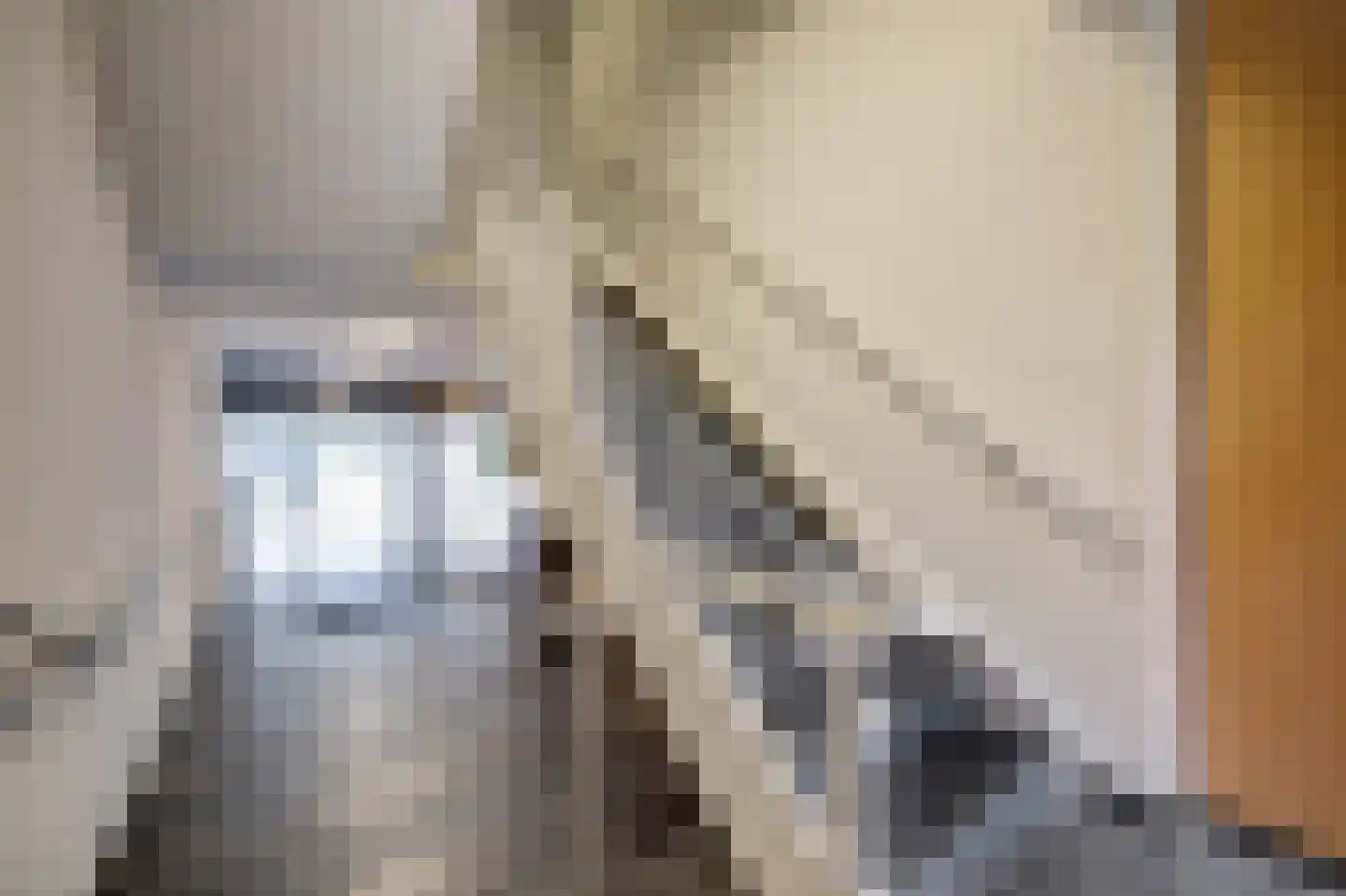 Mariniersweg 347 Rotterdam thumbnail 34