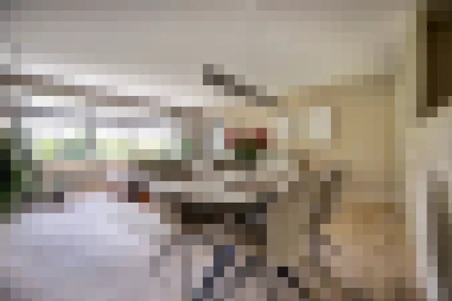 Mariniersweg 347 Rotterdam thumbnail 8