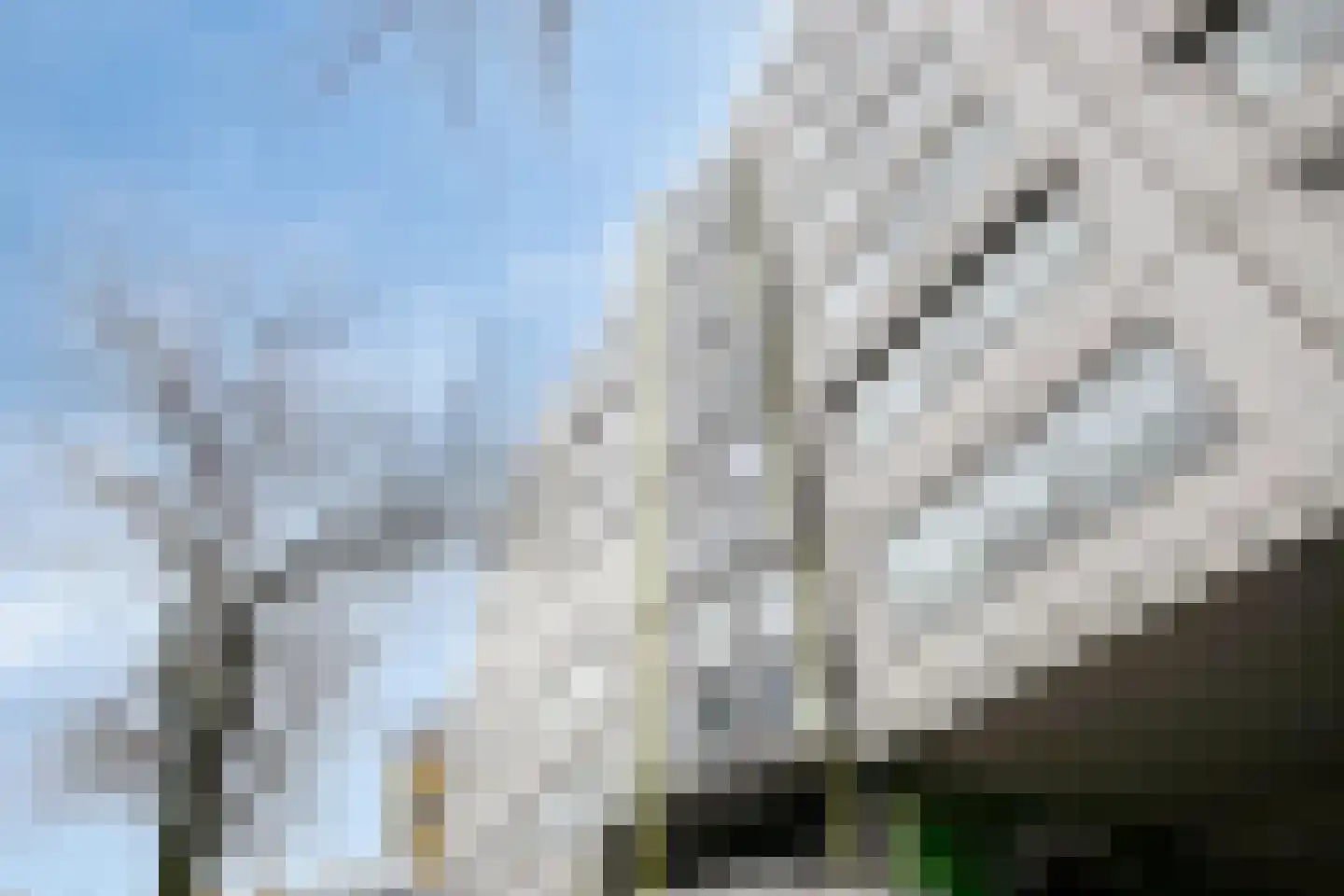 Mariniersweg 355 Rotterdam thumbnail 28