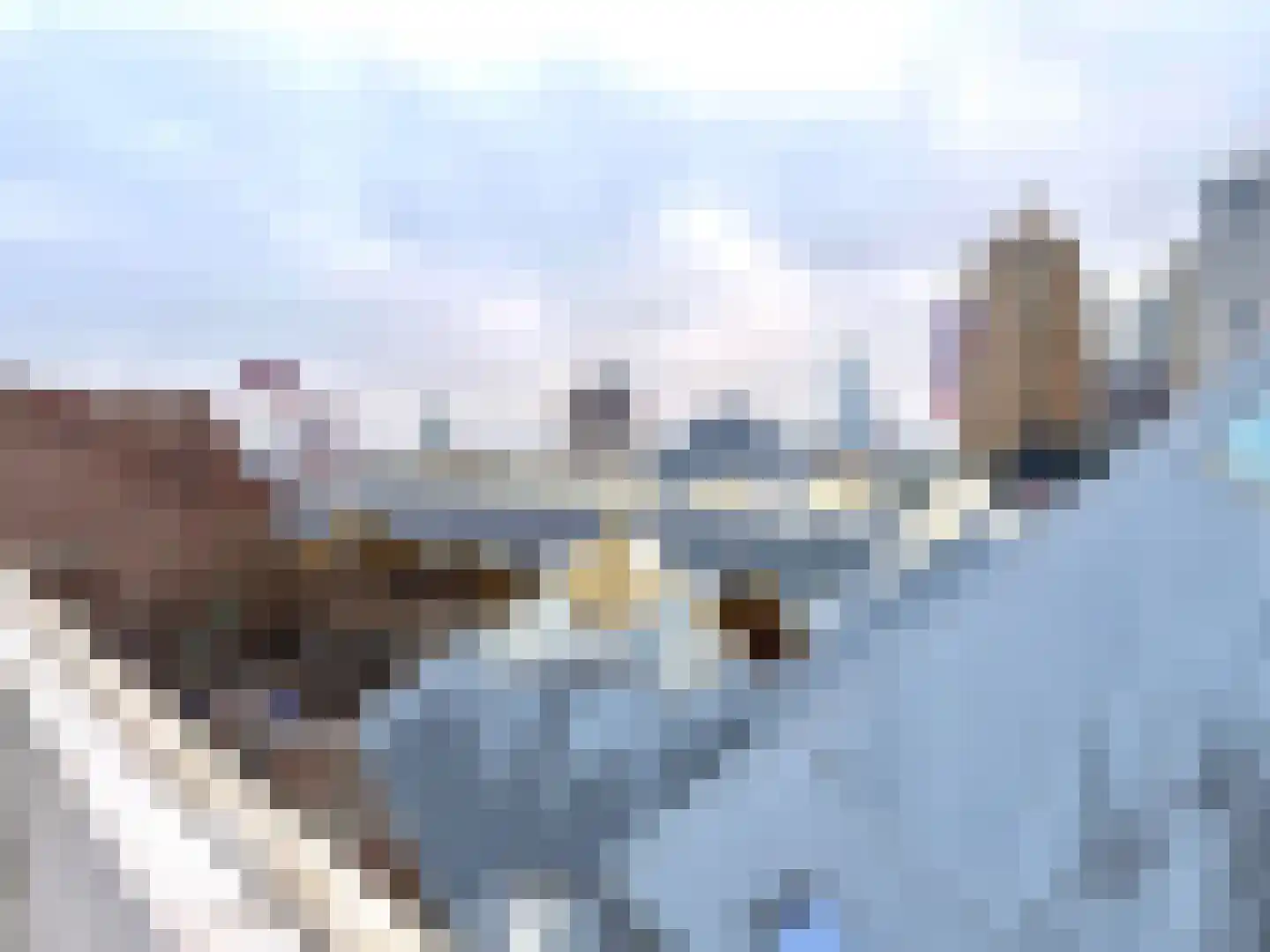 Mariniersweg 355 Rotterdam thumbnail 35