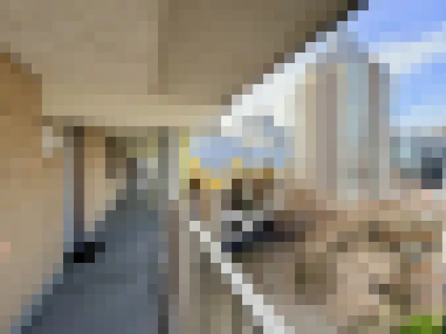 Mariniersweg 355 Rotterdam thumbnail 40