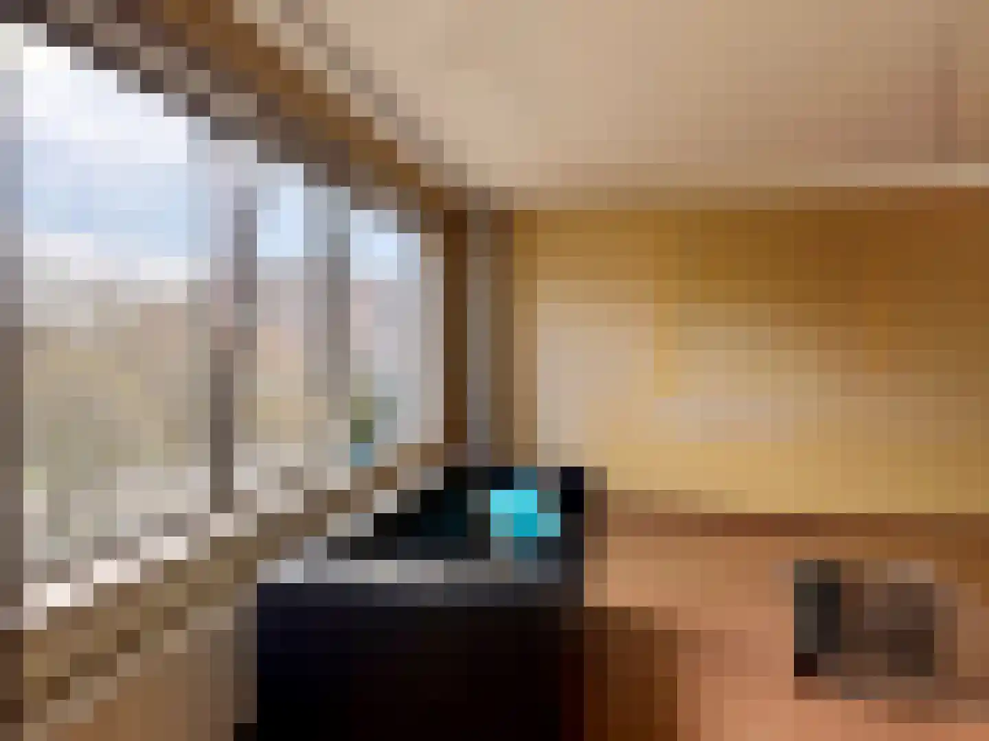 Mariniersweg 355 Rotterdam thumbnail 7