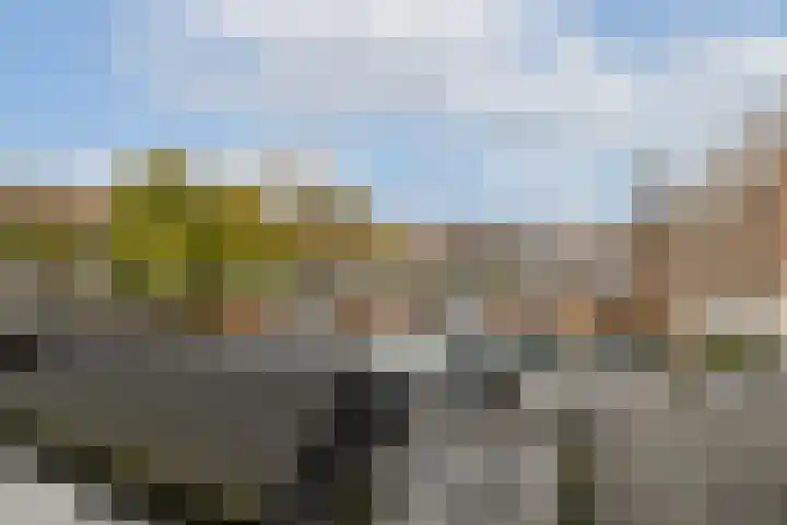 Mariniersweg 36 B Rotterdam thumbnail 11