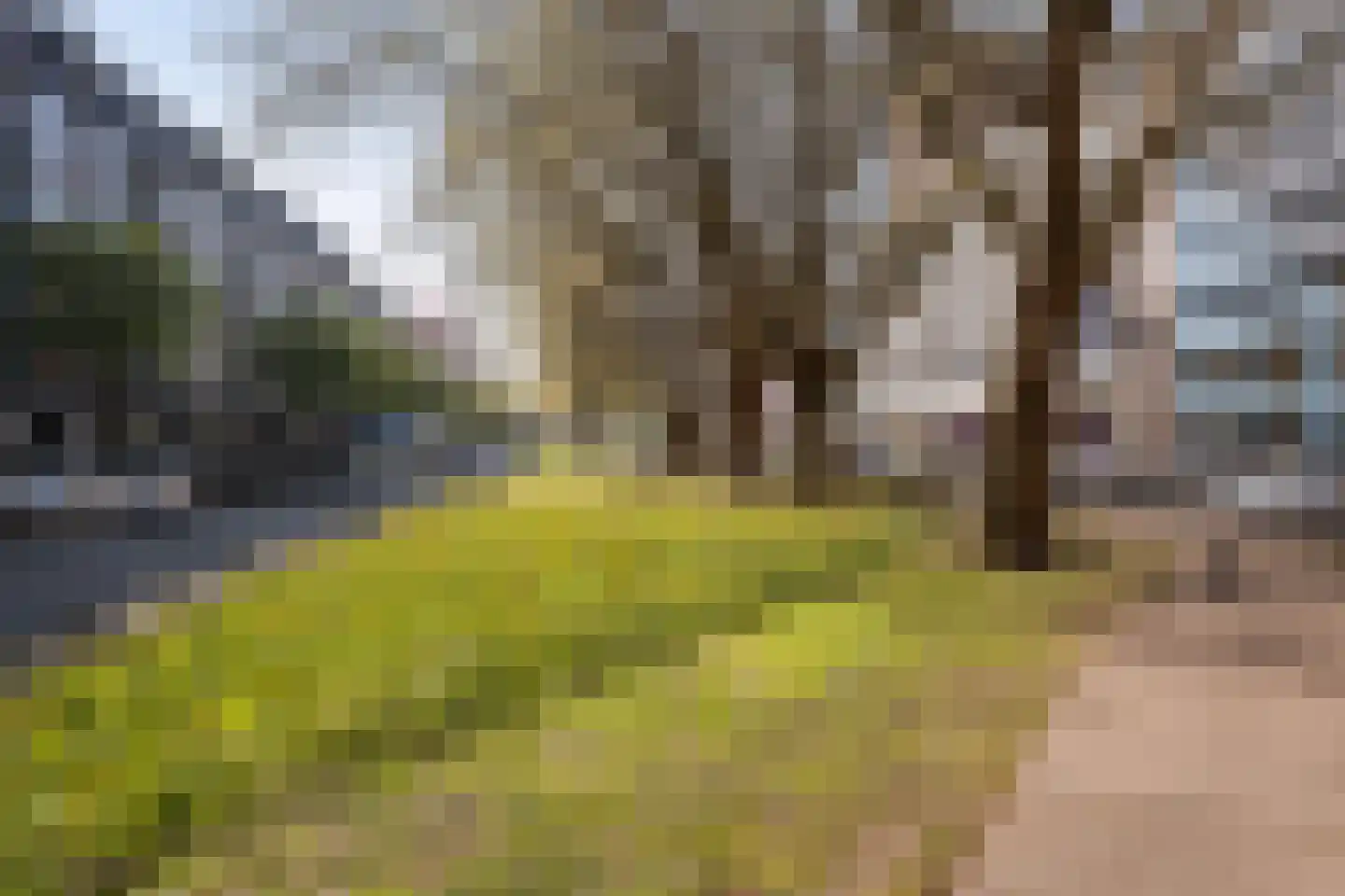 Mariniersweg 60 C Rotterdam thumbnail 27