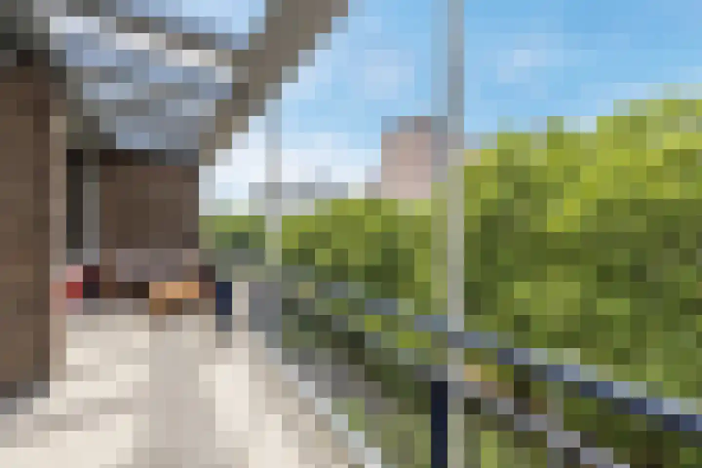 Mariniersweg 76 E Rotterdam thumbnail 5