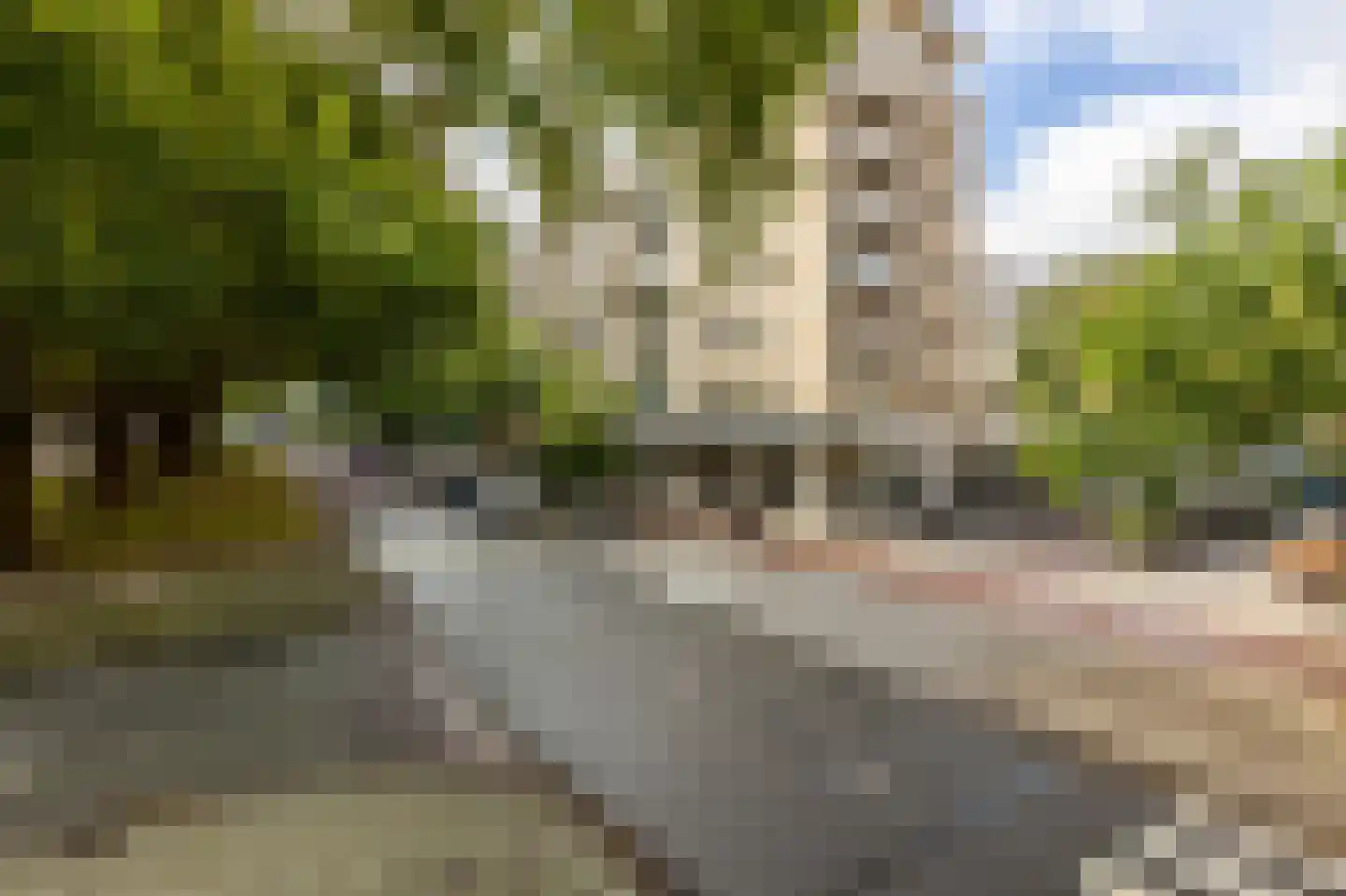 Mariniersweg 77 Rotterdam thumbnail 28