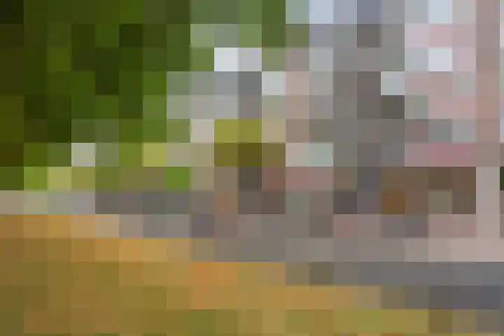 Mariniersweg 80 D Rotterdam thumbnail 31