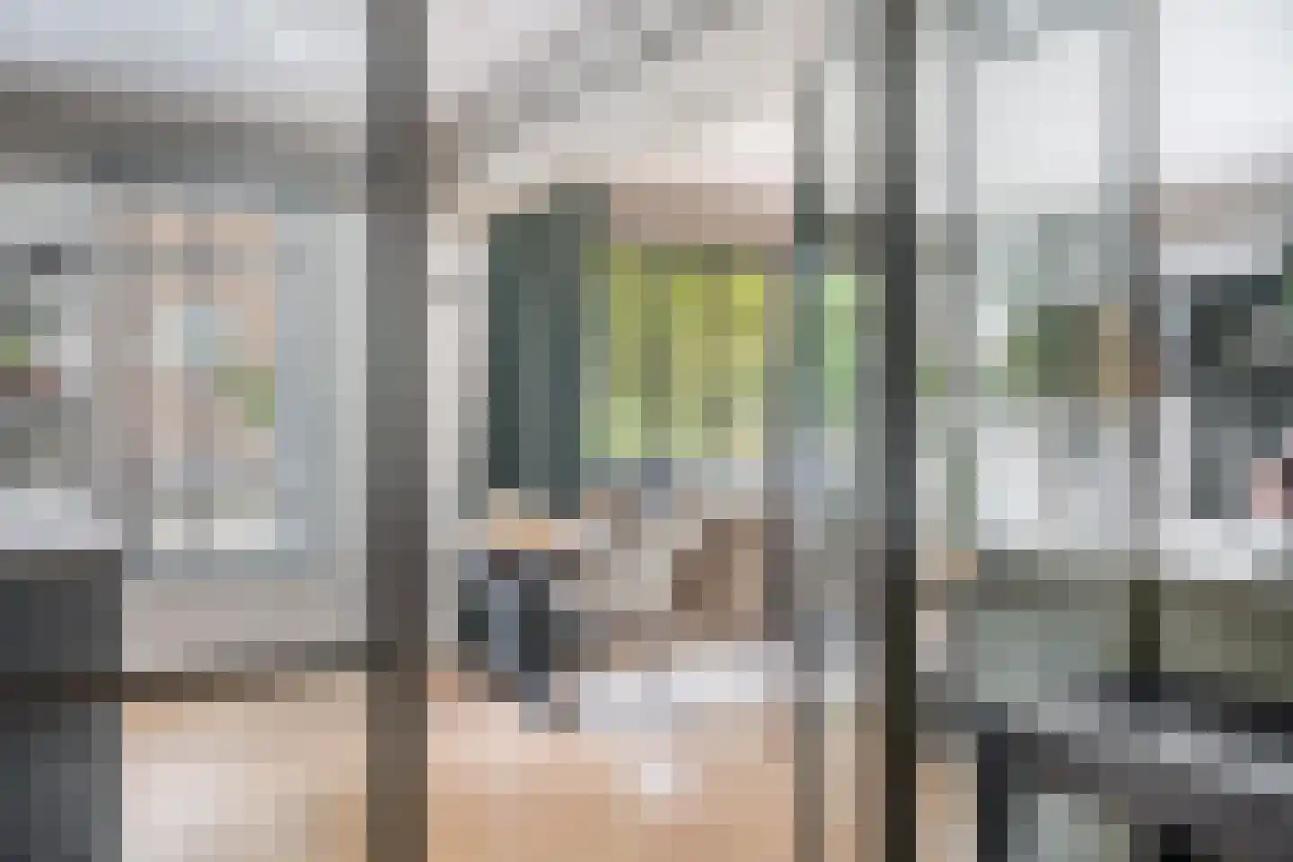 Mariniersweg 81 Rotterdam thumbnail 7